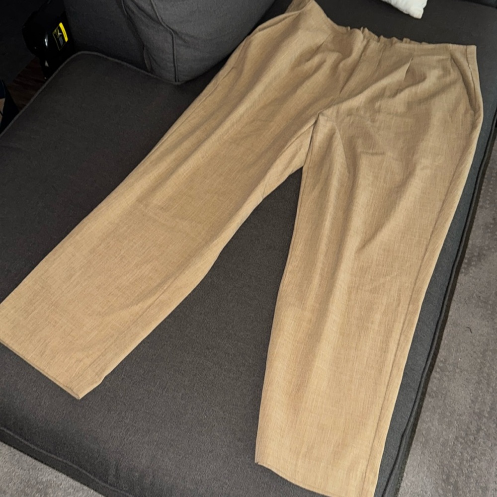Pleated Trousers